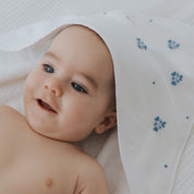 Torres Novas x Bordal - Torres Novas