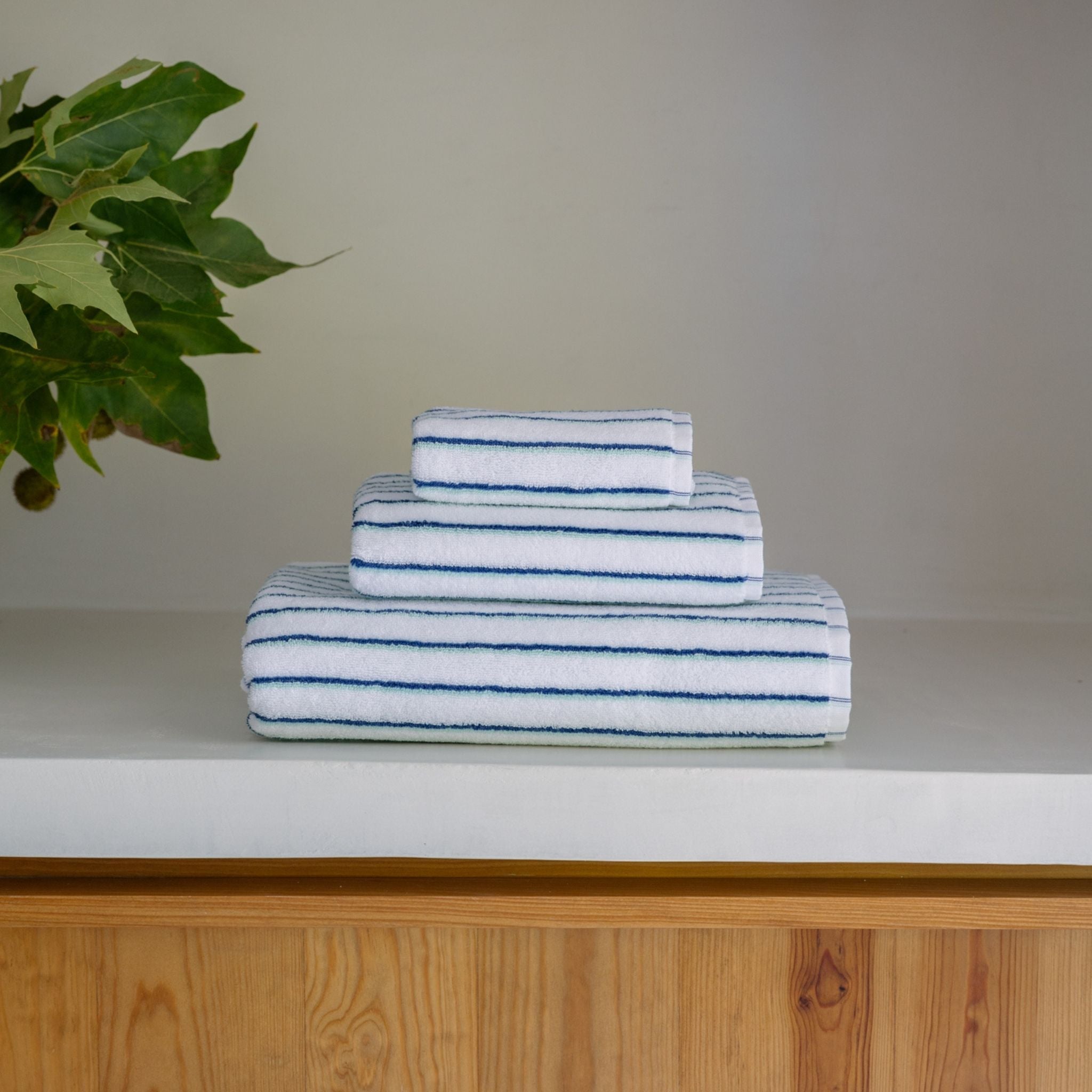 Blue with green Lima