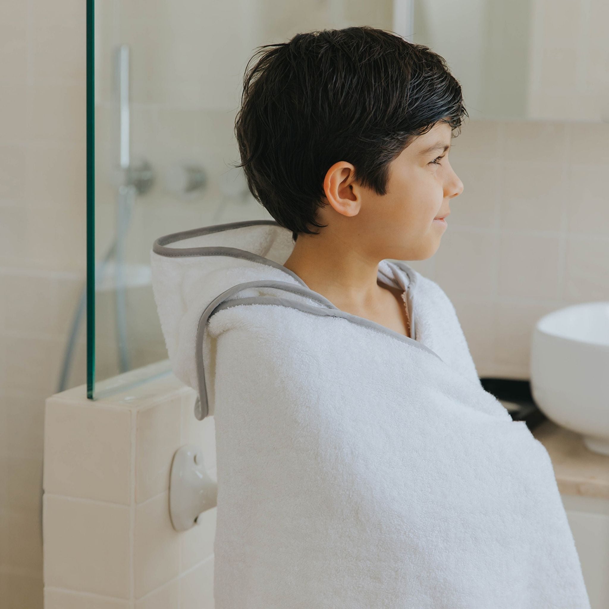 Silver grey Mira - Torres Novas