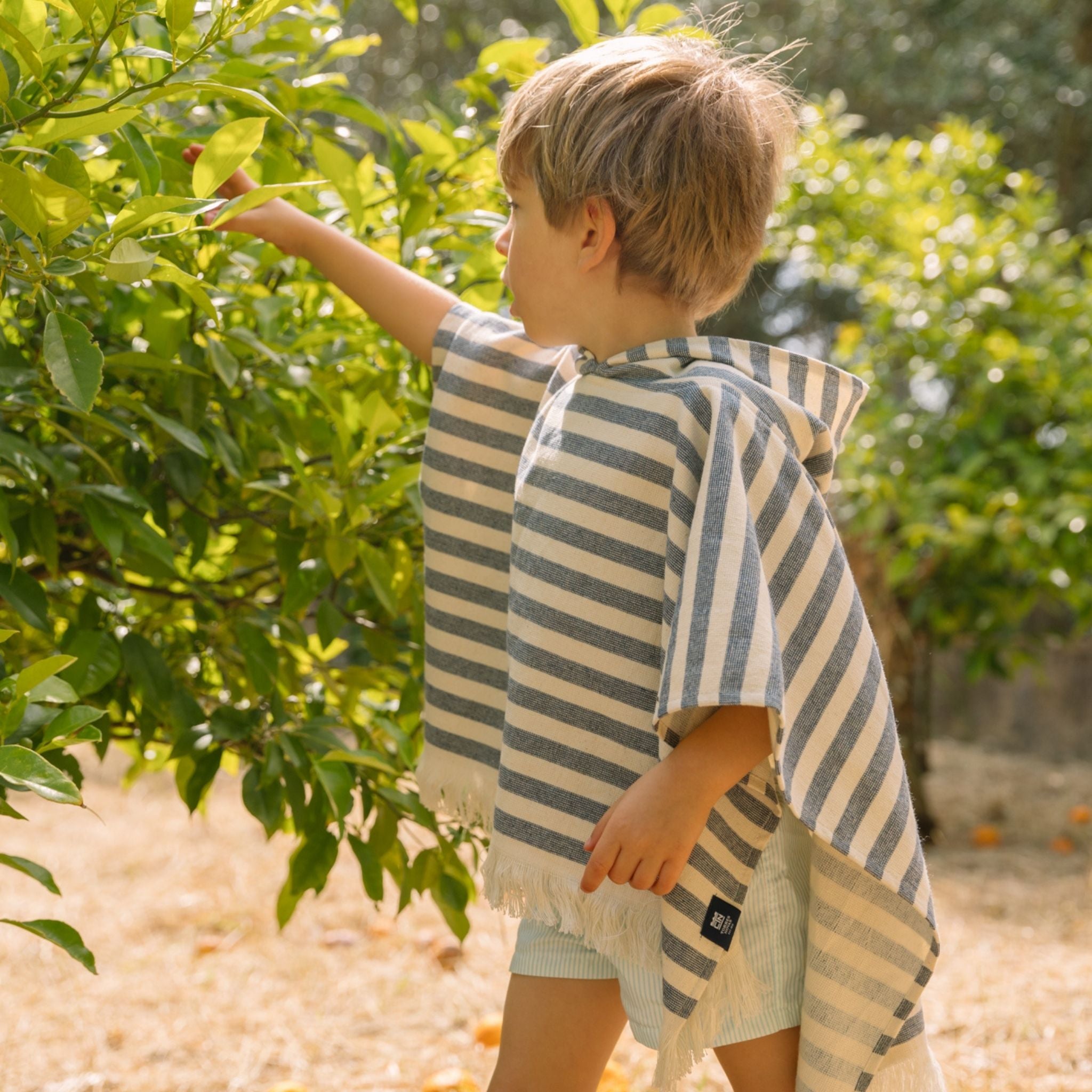 Barra - Torres Novas