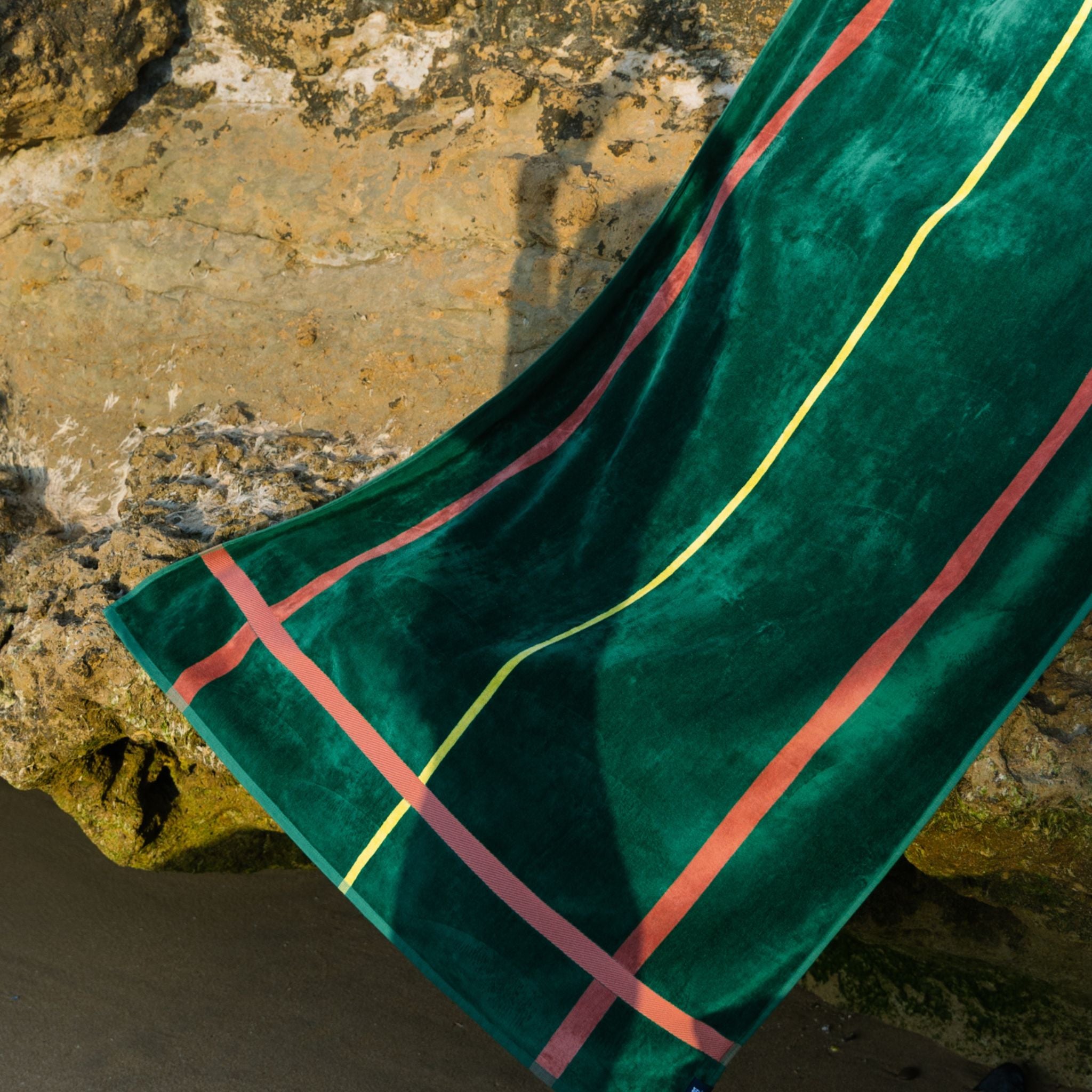 Alvor vert