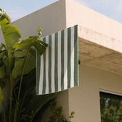 Gibalta vert foncé