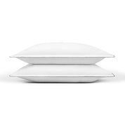 Fronha de almofada Foz - Cetim e Percal 400 fios