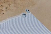 Barra family size - Torres Novas